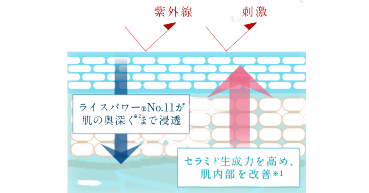 ライースリペア